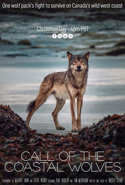 Call Of The Coastal Wolves (2020) poster