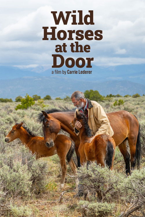Wild Horses at the Door (2025) poster