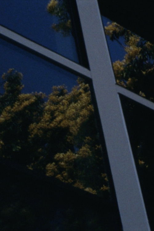 Recollection of a walk through Los Angeles (2019) poster