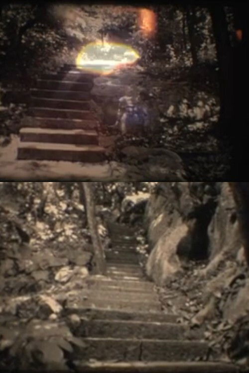 In China (2012) poster