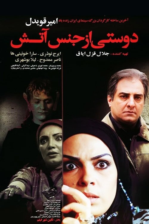 A Friend Made of Fire (2009) poster