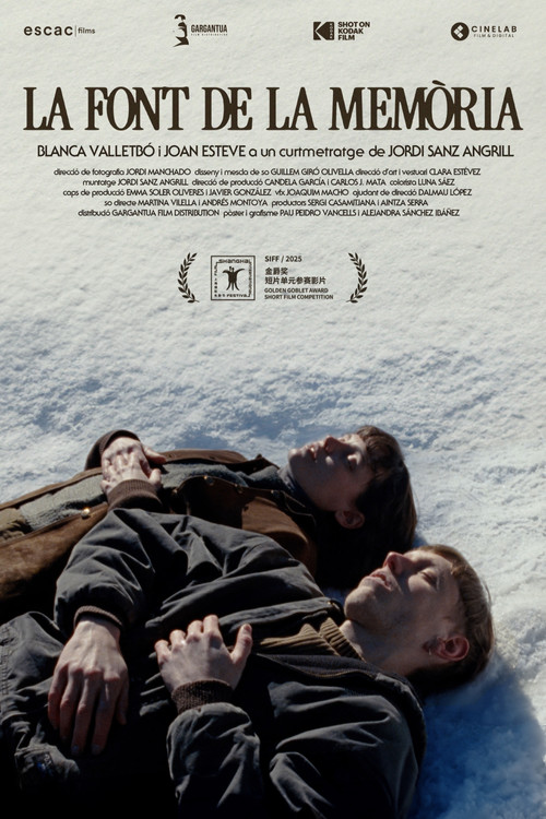 La font de la memòria (2025) poster