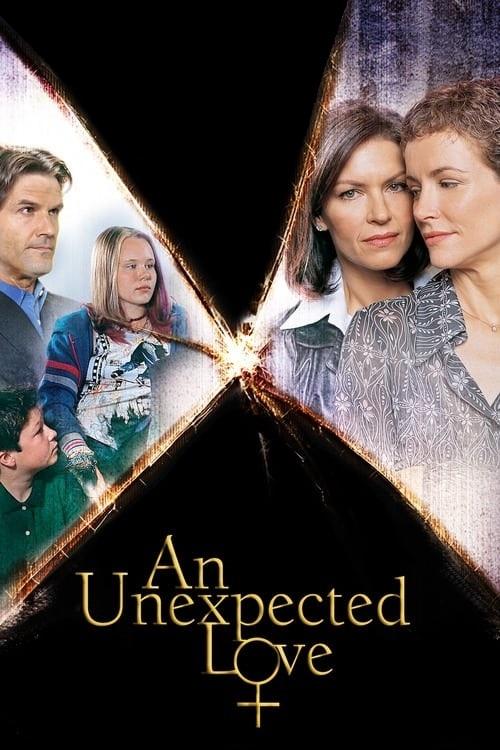An Unexpected Love (2003) poster