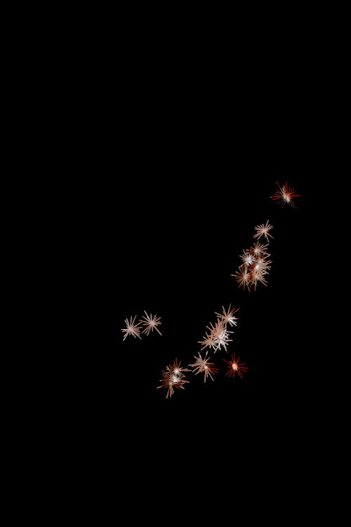 In Tinseltown (2020) poster