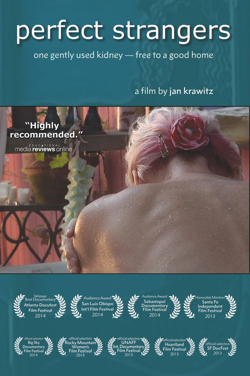 Perfect Strangers (2013) poster