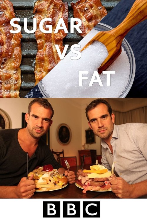 Sugar vs Fat: Which is Worse? (2014) poster