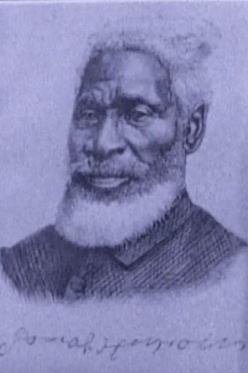 Journey to Justice (2000) poster