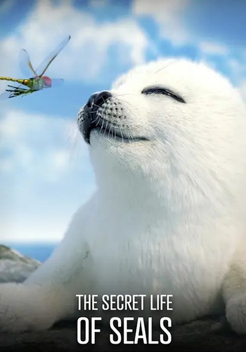 The Secret Life of Seals (2022) poster