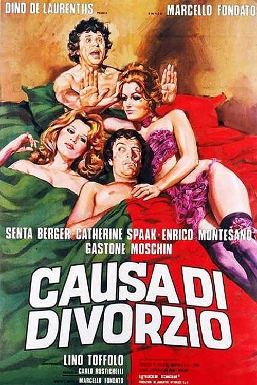 Cause of Divorce (1972) poster