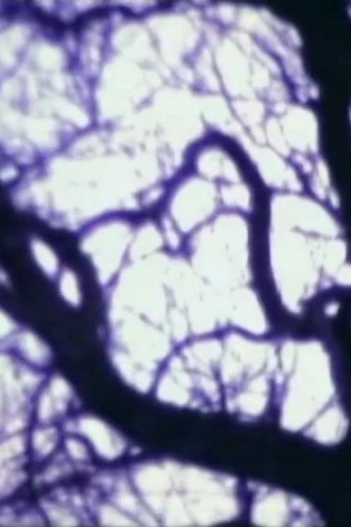 À l'instant (2008) poster