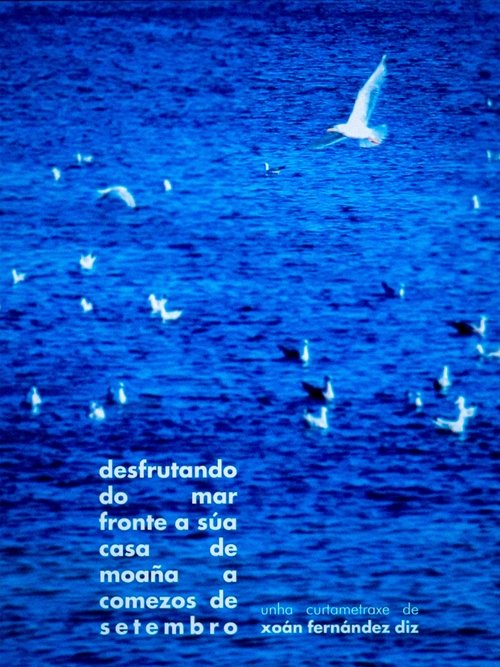 desfrutando do mar fronte a súa casa de moaña a comezos de setembro (2023) poster