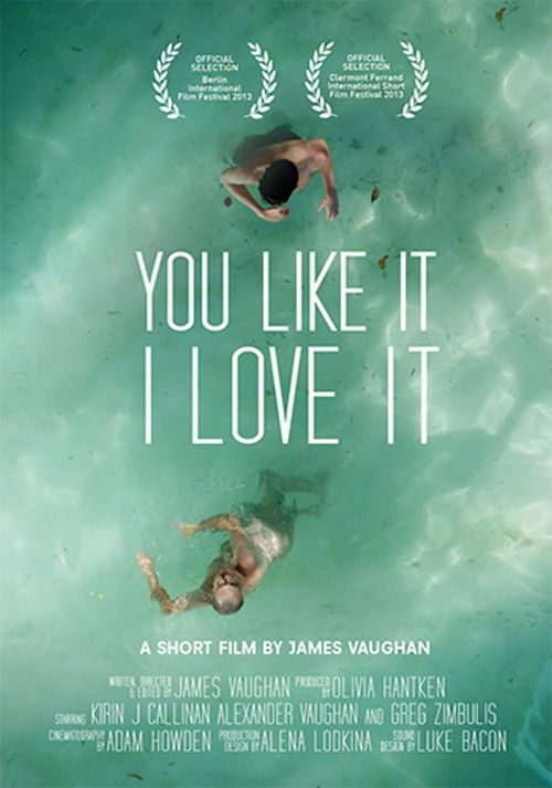 You Like It, I Love It (2013) poster