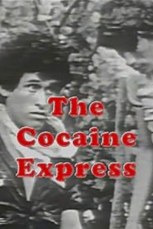 The Cocaine Express (1982) poster