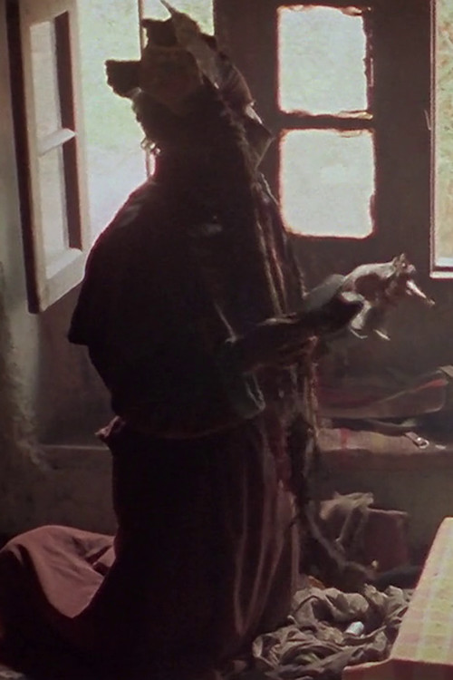 Healing (1978) poster