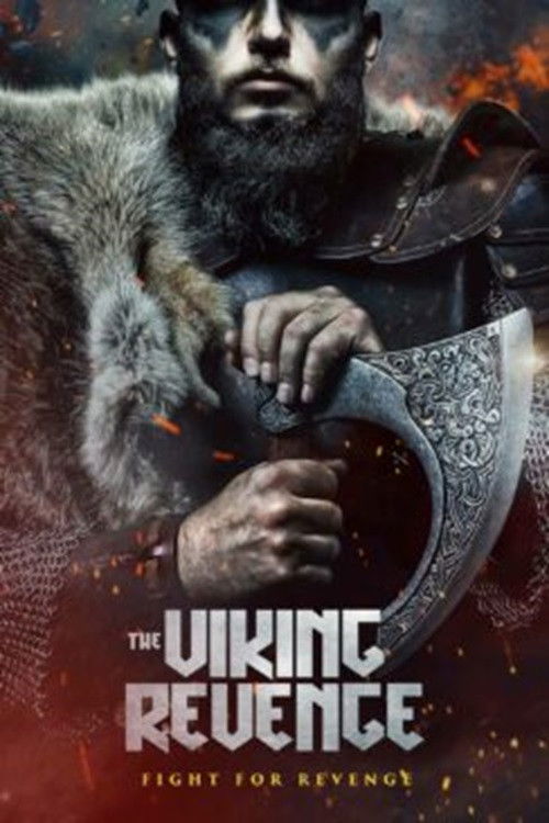The Viking Revenge (2023) poster