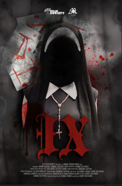 IX (2024) poster