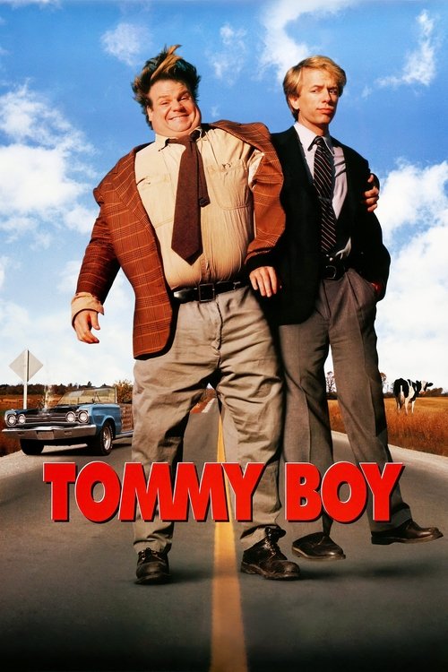 Adamım Tommy (1995) poster