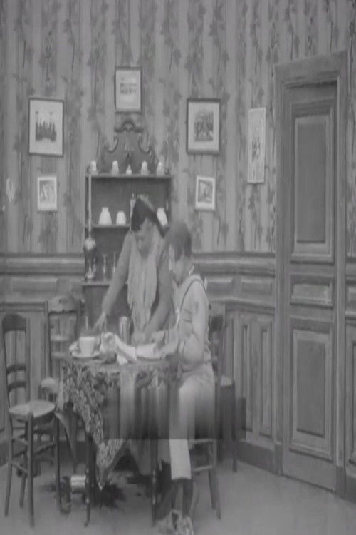 Les Apprentissages de Boireau (1907) poster