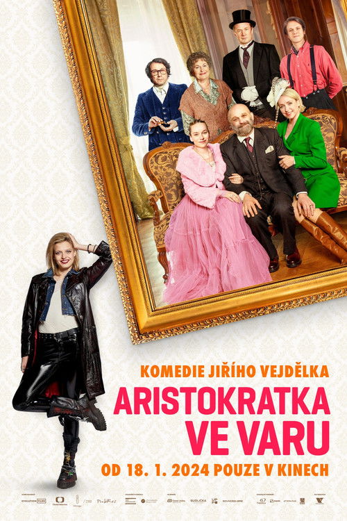 Aristocrat in the Boil (2024) poster
