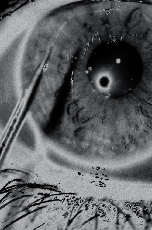 White Noise (2022) poster