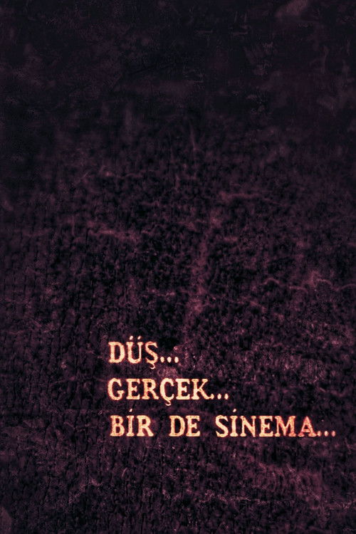 Düş, Gerçek, Bir de Sinema (1995) poster