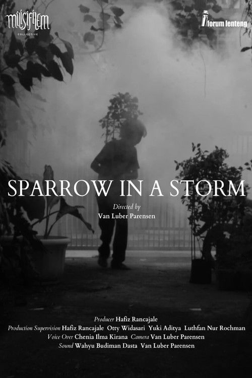 Sparrow in the Storm (2023) poster