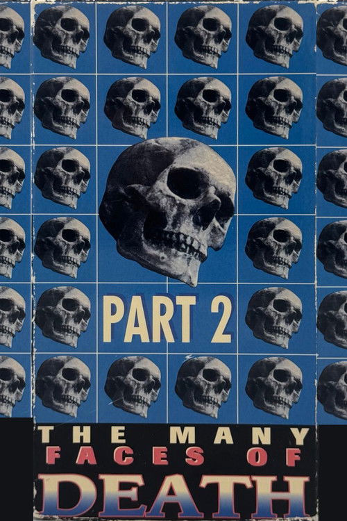 The Many Faces of Death, Part 2 (1995) poster