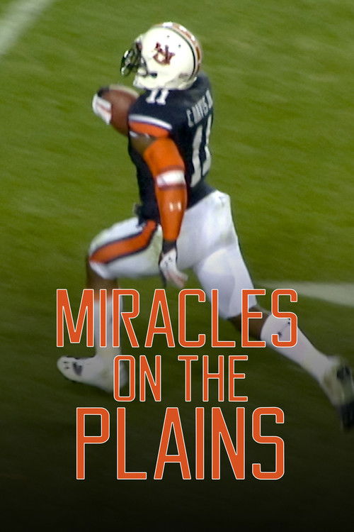 Miracles on the Plains (2015) poster