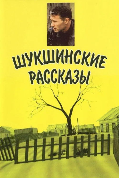 Shukshin's Stories (2002) poster