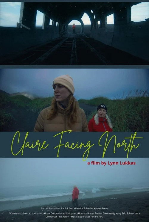 Claire Facing North (2024) poster