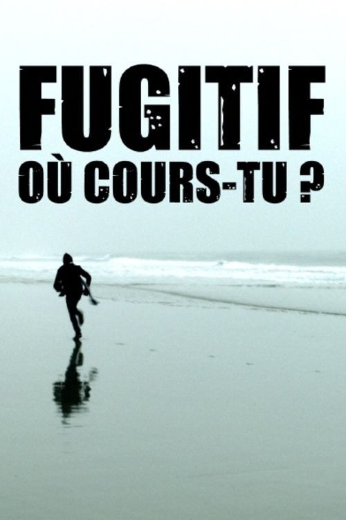 Fugitive, Where Are You Running to? (2018) poster