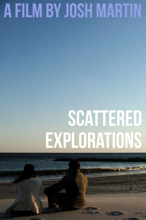 Scattered Explorations (2011) poster