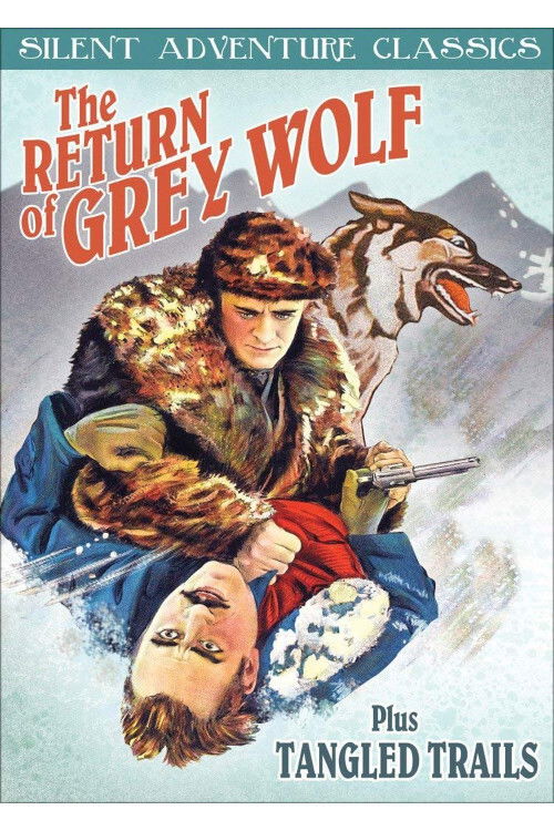 The Return of Grey Wolf (1926) poster