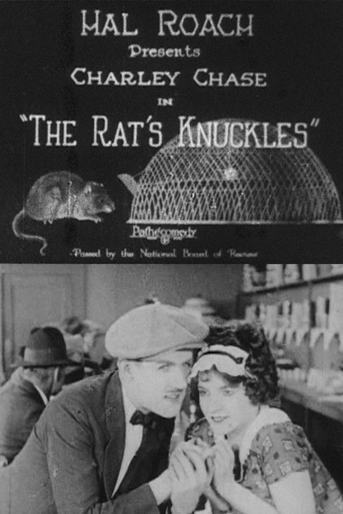 The Rat's Knuckles (1925) poster