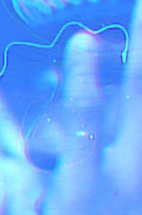 Here Is the Imagination of the Black Radical (2020) poster