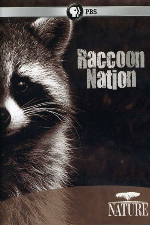 Raccoon Nation (2012) poster