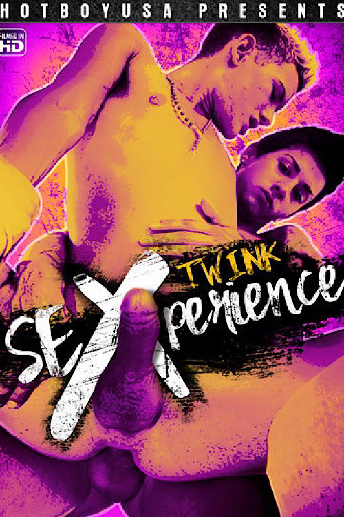 Twink SEXperience (2017) poster