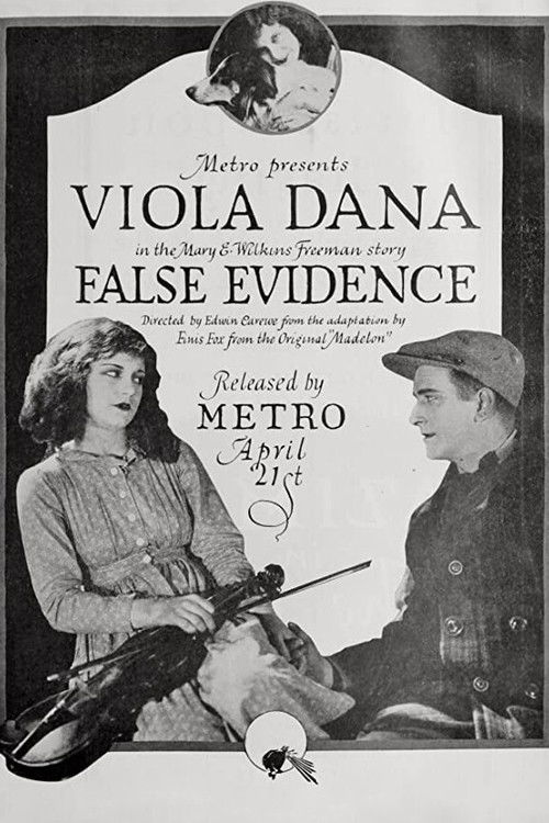 False Evidence (1919) poster