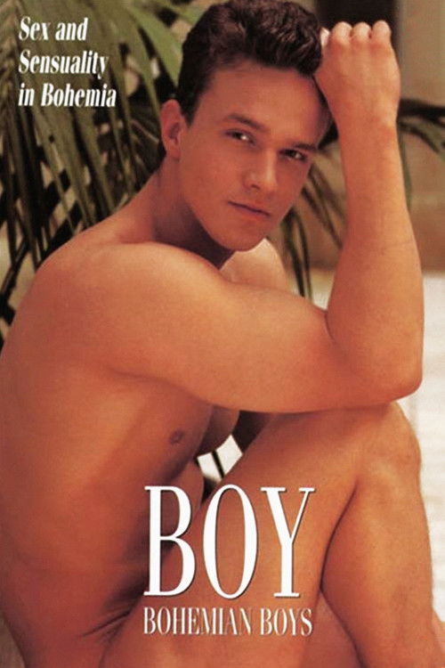 Boy: Bohemian Boys (1995) poster
