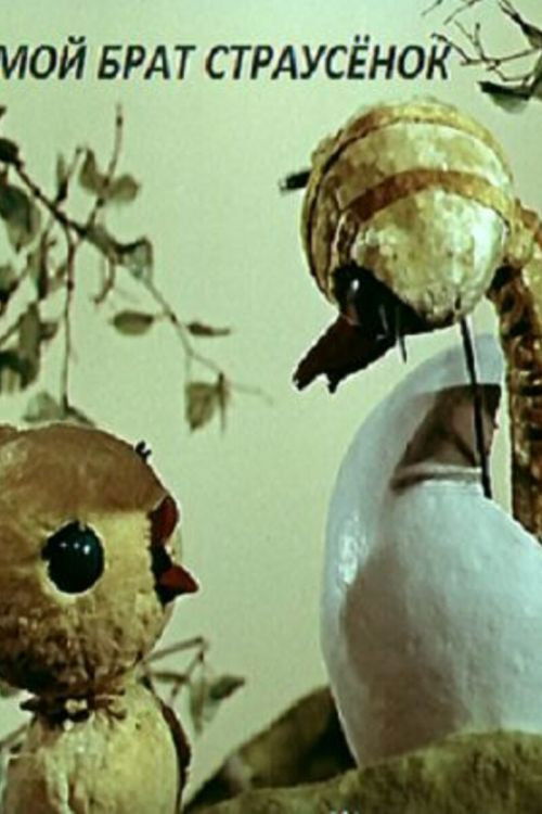 My Brother the Little Ostrich (1971) poster