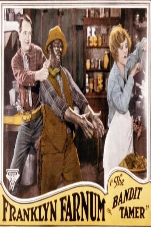 The Bandit Tamer (1925) poster