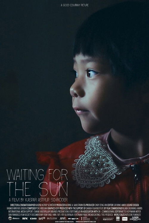Waiting for the Sun (2017) poster