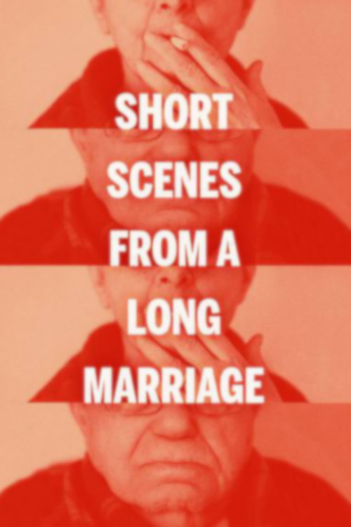 Short Scenes from a Long Marriage (2011) poster