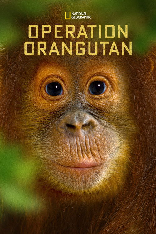 Operation Orangutan (2015) poster