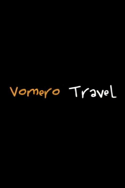 Vomero Travel (2010) poster