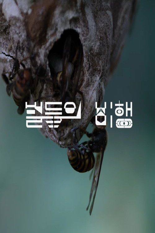 벌들의 비행 (2024) poster