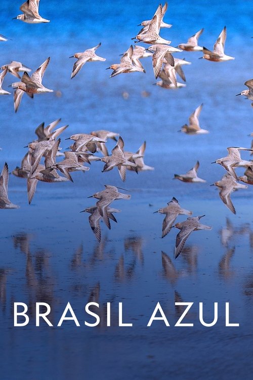 Blue Brazil (2022) poster