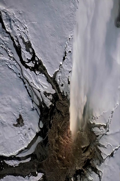 Sem Título # 10: Ao Redor do Amor (2025) poster