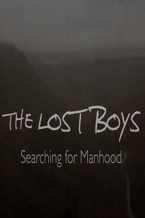 The Lost Boys: Searching for Manhood (2024) poster
