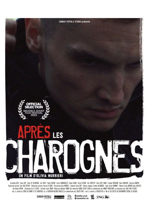 Après les charognes (2025) poster